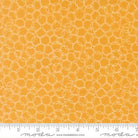 Honeyed Horizon Loopsy Loop Honey Orange - 47017 13 - Moda Fabrics - Nebraska Quilt Company - F260832