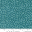 Honeyed Horizon Loopsy Loop Horizon Teal - 47017 20 - Moda Fabrics - Nebraska Quilt Company - F260835