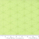 Honeyed Horizon Star Speck Geometric Flower Honeydew Green - 47014 16 - Moda Fabrics - Nebraska Quilt Company - F260820