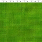 Interwoven Green - 1WVN - 14 - In the Beginning - Nebraska Quilt Company - F260565