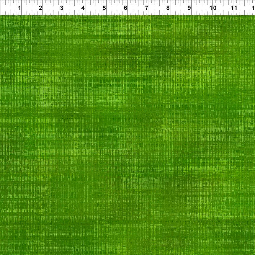 Interwoven Green - 1WVN - 14 - In the Beginning - Nebraska Quilt Company - F260565