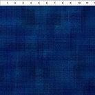 Interwoven Indigo - 1WVN - 22 - In the Beginning - Nebraska Quilt Company - F260574