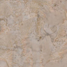 Island Batik Basic Latte Latte - Nebraska Quilt Company - F78360