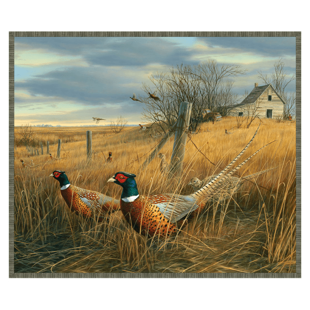 Memory Lane Panel 36" x 44" - Nebraska Quilt Company - PAN260378