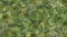 Midas Olive Green - DM27630 - 74 - Northcott Fabrics - Nebraska Quilt Company - F251504