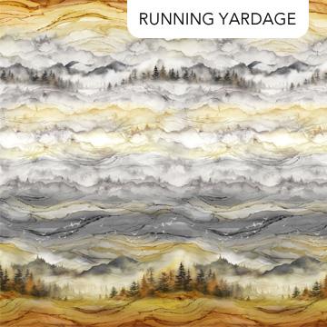 Misty Morning Ombre Gray Multi - DP28647 - 94 - Northcott Fabrics - Nebraska Quilt Company - F251627