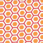 Mixed Bag Hexy Orange - 32865 20 - Moda Fabrics - Nebraska Quilt Company - F2400237