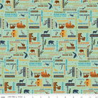 National Parks Word Print Sea Green - C8784 - SEAGREEN - Riley Blake Designs - Nebraska Quilt Company - F2401651