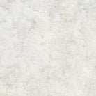 Naturally Neutrals Oyster - OYSTER/OYSTER - Island Batik - Nebraska Quilt Company - F08561