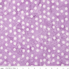 Neon Pop Amethyst - BT23052 - 171 - Riley Blake Designs - Nebraska Quilt Company - F09306