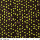 Neon Pop Espresso - BT23052 - 139 - Riley Blake Designs - Nebraska Quilt Company - F09307