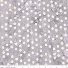 Neon Pop Fog Gray - BT23052 - 150 - Riley Blake Designs - Nebraska Quilt Company - F09325
