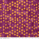 Neon Pop Lollipop - BT23052 - 184 - Riley Blake Designs - Nebraska Quilt Company - F09304
