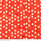 Neon Pop Papaya - BT23052 - 237 - Riley Blake Designs - Nebraska Quilt Company - F09298