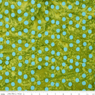 Neon Pop Pistachio - BT23052 - 283 - Riley Blake Designs - Nebraska Quilt Company - F09293