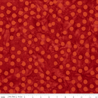 Neon Pop Spice - BT23052 - 238 - Riley Blake Designs - Nebraska Quilt Company - F09297