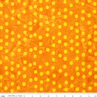 Neon Pop Sunshine - BT23052 - 255 - Riley Blake Designs - Nebraska Quilt Company - F09296