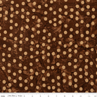 Neon Pop Walnut - BT23052 - 138 - Riley Blake Designs - Nebraska Quilt Company - F09308