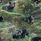 New Beginnings Bear Playtime - 3NEWBEGINING - 21497 - MLT - Studio E Fabrics - Nebraska Quilt Company - F04297