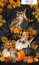 Night Owl Panel Charcoal Multi 26" x 43" - Nebraska Quilt Company - PAN261106