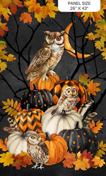 Night Owl Panel Charcoal Multi 26" x 43" - Nebraska Quilt Company - PAN261106