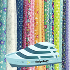 One Day Stripology Retreat Sat Sept 19, 2026 - Nebraska Quilt Company - Vibrance