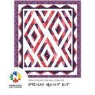 Prism Quilt Kit Featuring Berry Crush - Nebraska Quilt Company - K261067
