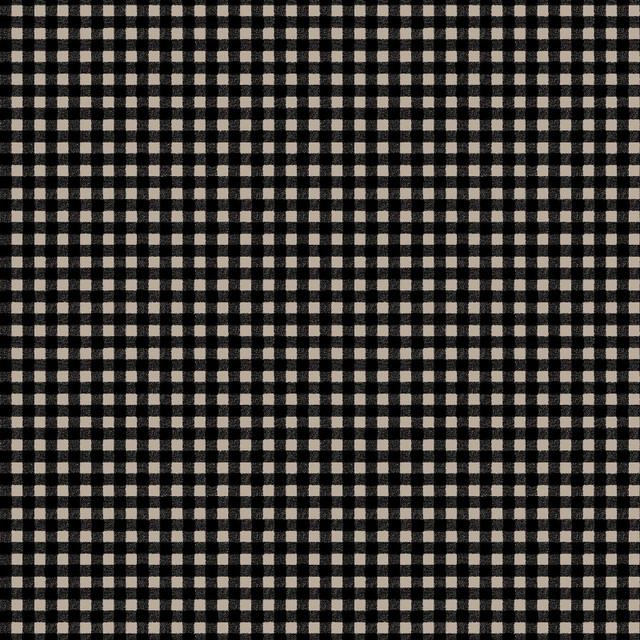 Pumpkin Grove Gingham Black - MAS11186 - J - Maywood Studio - Nebraska Quilt Company - F261214