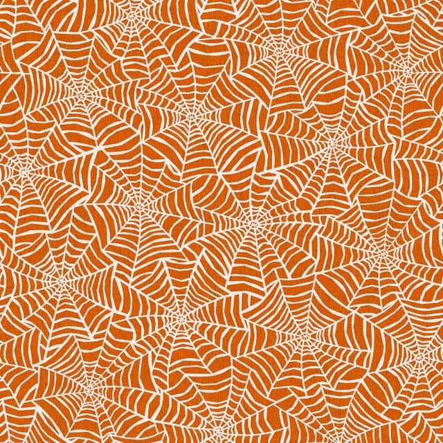 Pumpkin Grove Spider Webs Orange and Cream - MAS11183 - OE - Maywood Studio - Nebraska Quilt Company - F261218