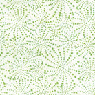 Quilter's Guide to the Galaxy Citrus Green - Nebraska Quilt Company - FAB86091