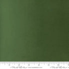 Quilting Cuddle Solid Cactus Green - QC CACTUS - Moda Fabrics - Nebraska Quilt Company - F261069