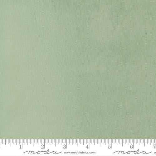 Quilting Cuddle Solid Juniper - QC JUNIPER - Shannon Fabrics - Nebraska Quilt Company - F260770