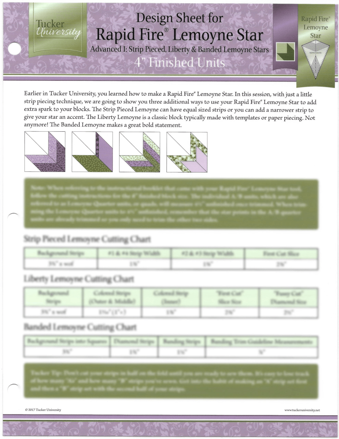 Rapid Fire Lemoyne Star Advanced I Design Sheet - Nebraska Quilt Company - PUB109582