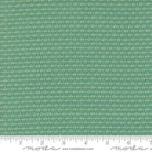 Raspberry Summer Sprout Blenders Teal - 37694 19 - Moda Fabrics - Nebraska Quilt Company - F2401304