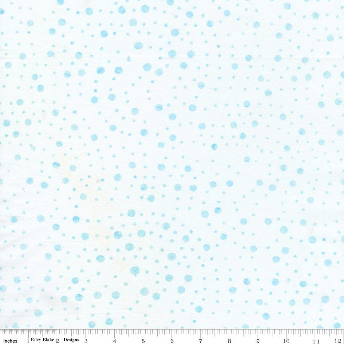 Sandy Beaches Powdered Pastels - BT23810 - 121 - Riley Blake - Nebraska Quilt Company - F260665
