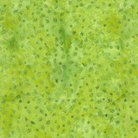 Spring Fling Seeds Green Lemongrass - 422506630 - Island Batik - Nebraska Quilt Company - F260927