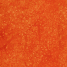 Spring Fling Seeds Orange Pumpkin - 422506275 - Island Batik - Nebraska Quilt Company - F260905