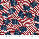 Stars & Stripes 13 Stonehenge Flag Toss Multi - 27882 - 49 - Northcott Fabrics - Nebraska Quilt Company - F2402327