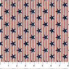 Stars & Stripes 13 Stonehenge Stars & Stripes Multi - 27884 - 49 - Northcott Fabrics - Nebraska Quilt Company - F2402322