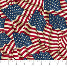 Stars & Stripes 14 Stonehenge Flags Beige Multi - 29043 - 12 - Northcott Fabrics - Nebraska Quilt Company - F260496