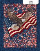 Stars & Stripes 14 Stonehenge Panel Navy Multi - DP29040 - 49 - Northcott Fabrics - Nebraska Quilt Company - PAN260498