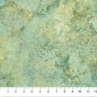 Stonehenge Gradations II Pine Ridge Light - 26756 - 780 - Northcott Fabrics - Nebraska Quilt Company - F06976