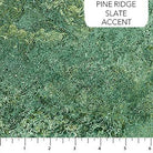 Stonehenge Gradations II Pine Ridge Slate - 26757 - 78 - Northcott Fabrics - Nebraska Quilt Company - F06958