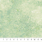 Stonehenge Gradations II Sandstone Pine Ridge - 26758 - 78 - Northcott Fabrics - Nebraska Quilt Company - F07171