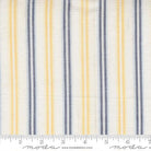 Summer Solstice Ticking Stripe Afternoon Multi - 12224 26 - Moda Fabrics - Nebraska Quilt Company - F260887
