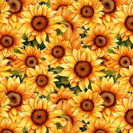 Sunflower Serenade Packed Sunflowers Green - 2600 - 31804 - G - QT Fabrics - Nebraska Quilt Company - F260876