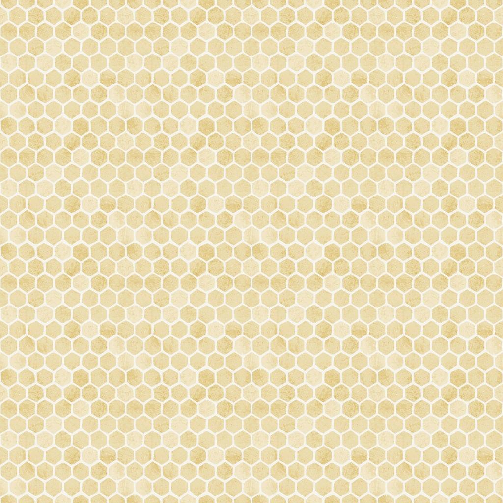 Sweet Honey Bee Honeycomb Yellow - W115 - 012 - 230 - White Owl - Nebraska Quilt Company - F260423