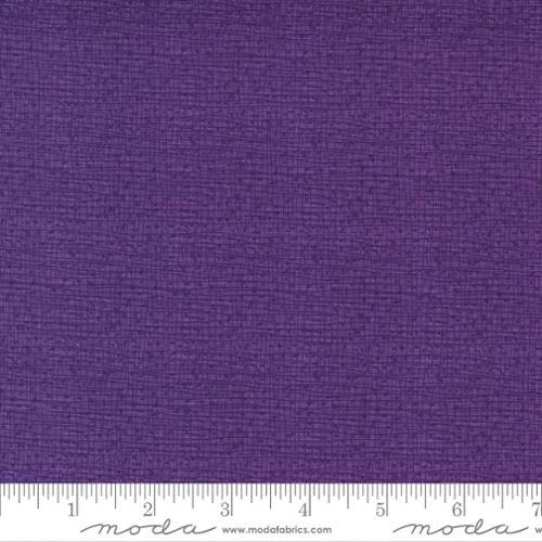 Thatched Pansy - 48626 160 - Moda Fabrics - Nebraska Quilt Company - F04821