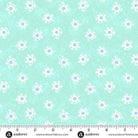 Thousand Steps Seafoam Sea Urchin Green - A - 1276 - LT - Andover Fabrics - Nebraska Quilt Company - F2401947