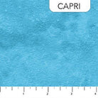Toscana Capri - 9020 - 45 - Northcott Fabrics - Nebraska Quilt Company - F63530